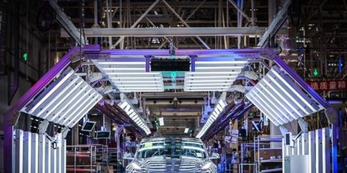 蔚來失守，誰能阻擋特斯拉的鐵蹄？